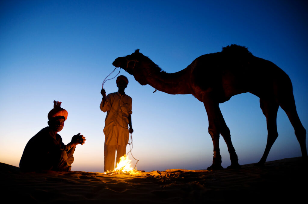 night camel safari jaisalmer